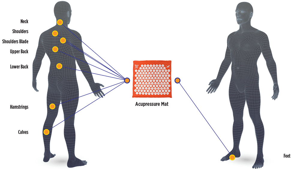 BodyChart_AcuMat Acupressure Mat Body Map Application