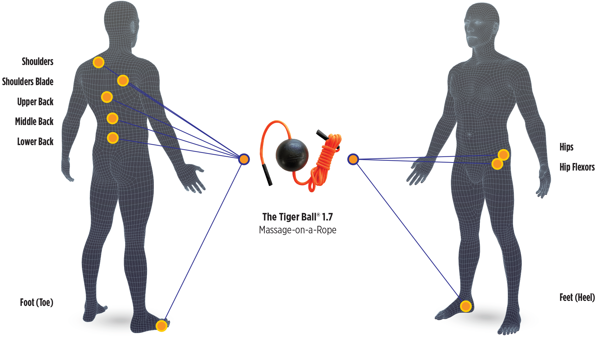 BodyChart_TB17 Tiger Ball 1.7 Massage-on-a-rope Body Map Application