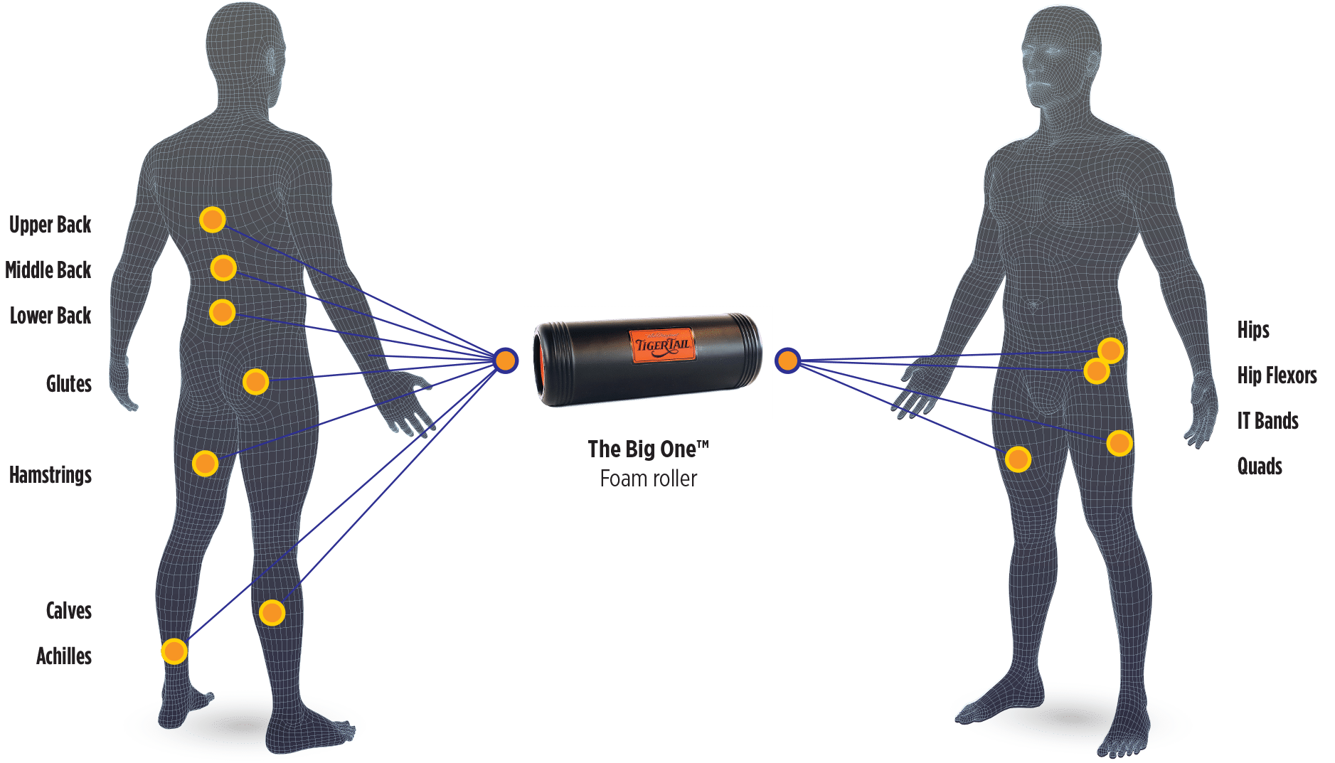 BodyChart_TBO The Big One Ultimate Foam Roller Body Map Application