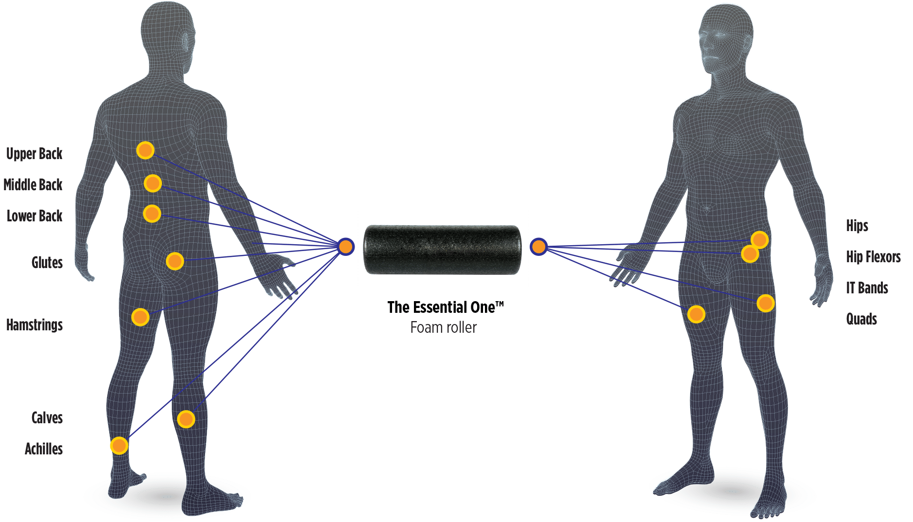 BodyChart_TBAO bodychart tbao 2