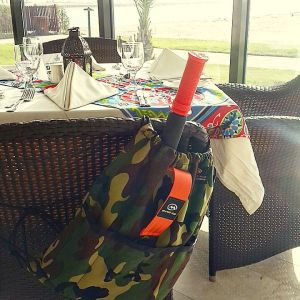 TigerTail_Kuwait2 tigertail kuwait2
