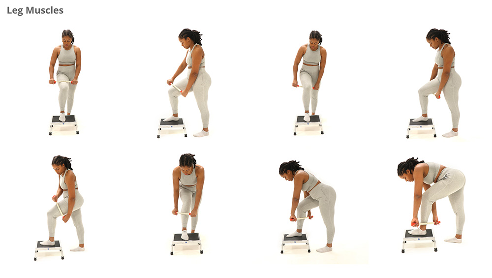 thebendy legmuscles